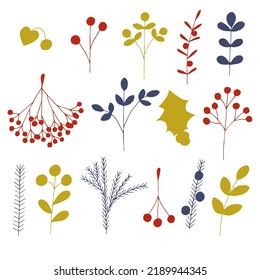 Christmas berries and plants set vector illustration, hand drawing 