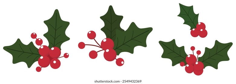 Christmas berries set with fruits and green leaves elements design. 