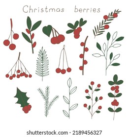 Christmas berries set vector illustration, hand drawing doodles