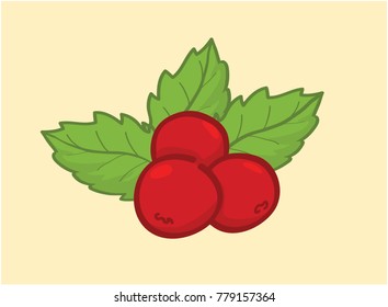 christmas berries vector