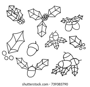 Christmas berry. Hand drawn vector illustration.  Festive decor.