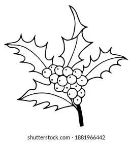 Christmas berry, holly holly. Vector stock illustration eps10. Hand drawing, outline.