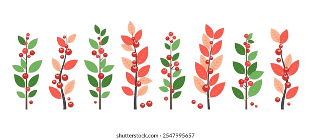 Icono de la baya de las Navidades, planta de invierno, hojas de rama, muérdago, decoración del follaje, baya Pequeña roja del árbol de vacaciones aislada en el fondo blanco. Conjunto de frutas de Navidad. Ilustración vectorial de dibujos animados