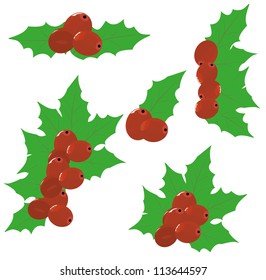 Christmas berry set