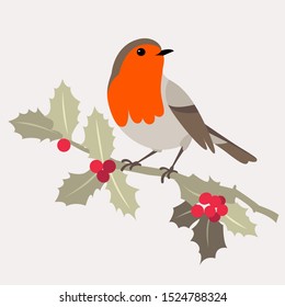 Christmas bird. Robin bird sits on sprig of Holly with berries. Vector illustration