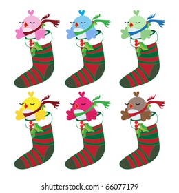 christmas bird set in socks in different colors