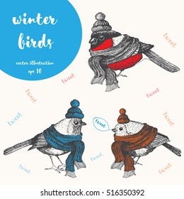 Christmas bird set.  Xmas cute birds dressed in scarf and cap. Hand-drawn vector illustration