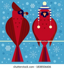 Christmas birds illustration with winter backyard birdies and snowflakes on blue. Red Cardinal bird couple holding berry in beak and sitting on branch in funny striped hat with pompoms.