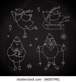 Christmas birds set - vector illustration on chalkboard. Cute hand drawn animals for holidays decoration, design, greeting cards, stickers.