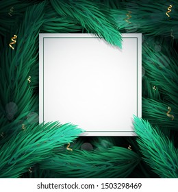 Christmas blank card with Christmas tree branches background. Template for Christmas or New Year banner, poster, flyers, invitation, voucher, discount, greeting cards, cover. Vector illustration