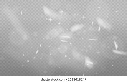 Christmas bokeh lights and sparkling dust on transparent background. Glowing festive particles, golden shimmer, and holiday flare perfect for cards, banners, and winter designs. Vector illustration.