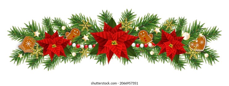 Christmas border decorations garland with fir branches and gingerbread cookies, golden snowflakes, Christmas flowers poinsettia and beads. Design element for Xmas on white background. Vector