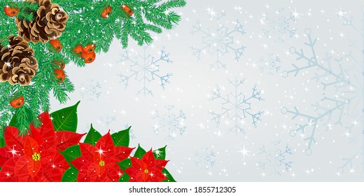Christmas border with fir branches, cones, poinsettia flowers and rowan berries on snowflakes background. Christmas or New year background for winter holiday banner, postcard.Stock vector illustration