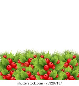 Christmas border from fir tree branches, ilex leaves and berries on white. Vector illustration for xmas and New Year design