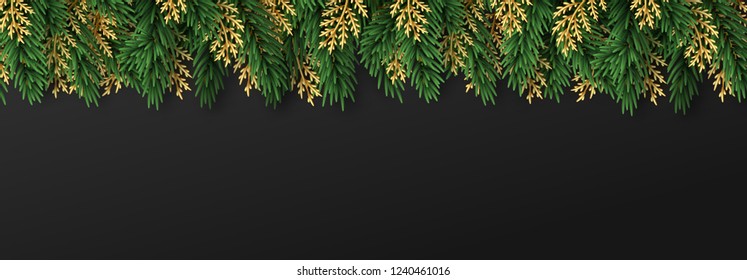 Christmas border green and golden pine branches