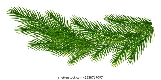 Christmas border of realistic fir tree branches. Pine branches for greeting New Year and Christmas cards, banners, invitations. Vector illustration