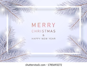 Christmas border with white spruce vector illustration