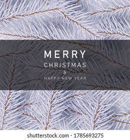 Christmas border with white spruce vector illustration