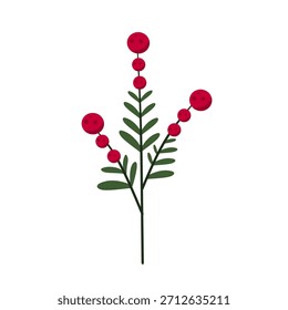 Christmas botanical artwork featuring red berries cluster
