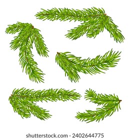 Christmas botanical compositions. New Year's decor. Vector pine tree branches. Border green fir twigs. Decorative frame elements.