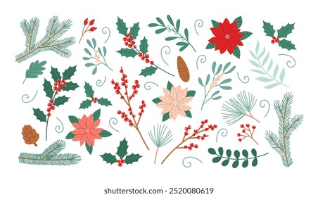 Weihnachten botanische Elemente gesetzt. Winterurlaub Blumen, Pflanzen und Beeren. Flache Vektorgrafik-Kollektion einzeln auf weißem Hintergrund
