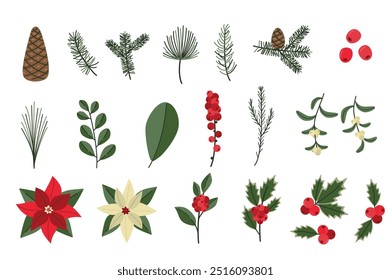 Conjunto botânico de Natal. Plantas de inverno. Ilustração de ramos de pinheiro, azevinho, visco, ponsettias e bagas. Elementos de decoração de férias. 