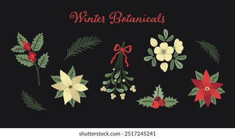 Christmas botanical set. Winter plants. Illustration of Christmas rose, pine branches, holly, mistletoe, and poinsettias. Holiday decoration elements.