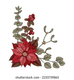 Christmas botany composition with poinsettia flower and mistletoe. Vector illustration in sketch style isolated on white background