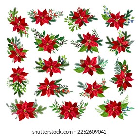 Christmas Bouquet Arranged from Red Poinsettia Flower and Tree Branches Big Vector Set