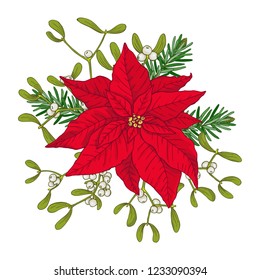 Christmas bouquet made of poinsettia, fir and mistletoes. Floral winter decoration. Vector objects on white background.