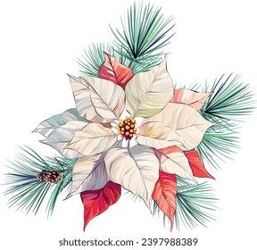 Christmas bouquet. Poinsettia flower. Festive red flower. Pine cone, New Year's tree. New Year's bouquet for decoration