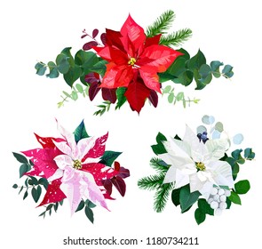 Christmas bouquets arranged from red and white poinsettia, fir branch, emerald eucalyptus selection, mix of plants and berries. Happy holiday greenery. Watercolor style set. All elements are isolated.