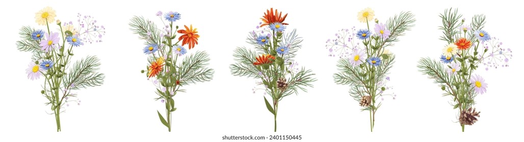 Christmas bouquets. Horizontal panoramic border with pine branches, blue, white, orange daisy flowers on white background. Realistic digital botanical illustration in watercolor style. Bright vector