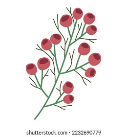 christmas branch berries icon isolated
