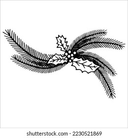 Christmas branch with holly berries, leaves and fir branches. Line art style illustration for decoration. Isolated object on white background