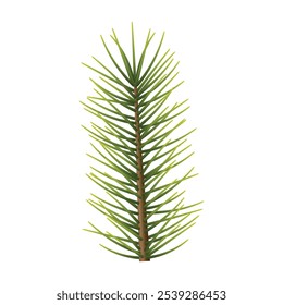 Christmas branch isolated on white background