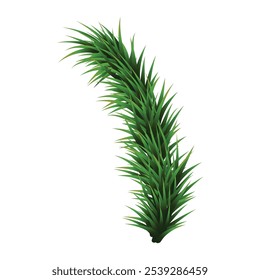 Christmas branch isolated on white background
