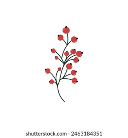 Christmas Branch of Rowan, Viburnum or Holly With Red Berries Without Leaves on a white background in a flat simple style. Decorative botanical element. Vector