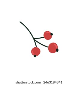 Christmas branch with three red berries without leaves on a white background in flat style. Decorative botanical element. Vector