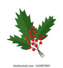 Christmas branches and berries, vector illustration, viburnum leaves background.
