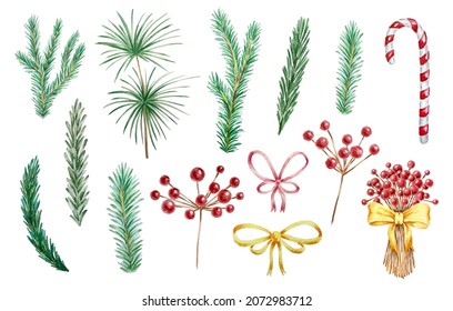 Christmas branches and red Holly berries set isolated on white background, hand painted watercolor New Year elements vector illustration