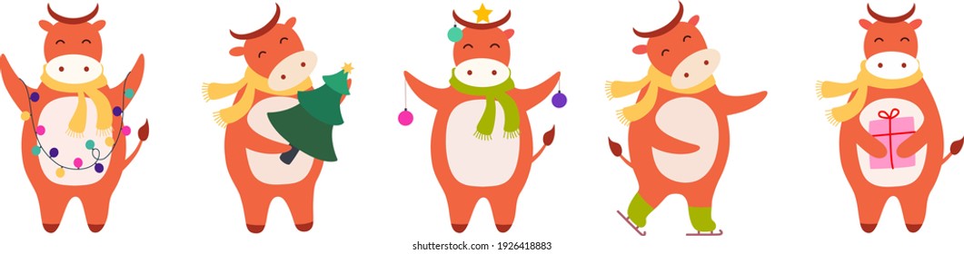 Christmas bull flat color illustration set. Cow with fir tree, toy, garland, ball, gift, star, ox on skates isolated cartoon character. Vector collection on white background