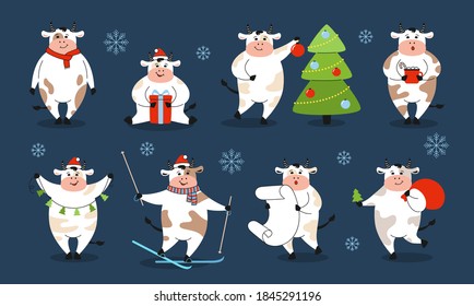Christmas bull set. New Year symbol, horoscope sign. Cartoon cow, Buffalo or calf. Collection character farm animals witn gift hat, garland. Happy New year and merry Christmas. Animal holidays vector