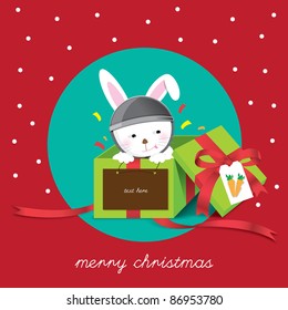 christmas bunny in green box