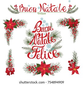 Christmas Buon Natale italian lettering. New Year compositions.Poinsettia flowers,tree spruce branches.Vintage winter romantic illustration of holiday decoration.For Greeting cards 