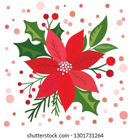 Christmas card with beautiful poinsettia, vector illustration