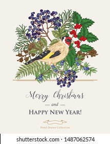 Christmas card with a bird and winter plants. Hand drawn finch, holly branch, juniper, pine and elderberry. Colorful vector illustration. Vintage engraving style.