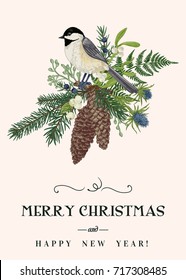 Christmas card with a bird, winter plants and berries. Coniferous, fir cones, tit, mistletoe, fern. Vintage style. Botanical illustration.