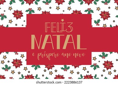 Christmas card. Brazilian Lettering. Translation from Portuguese - Merry Christmas and Happy New Year. Ink illustration. 