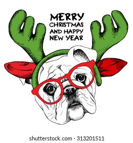 Christmas card. Bulldog portrait in mask Santa's antler reindeer and glasses. Vector illustration.